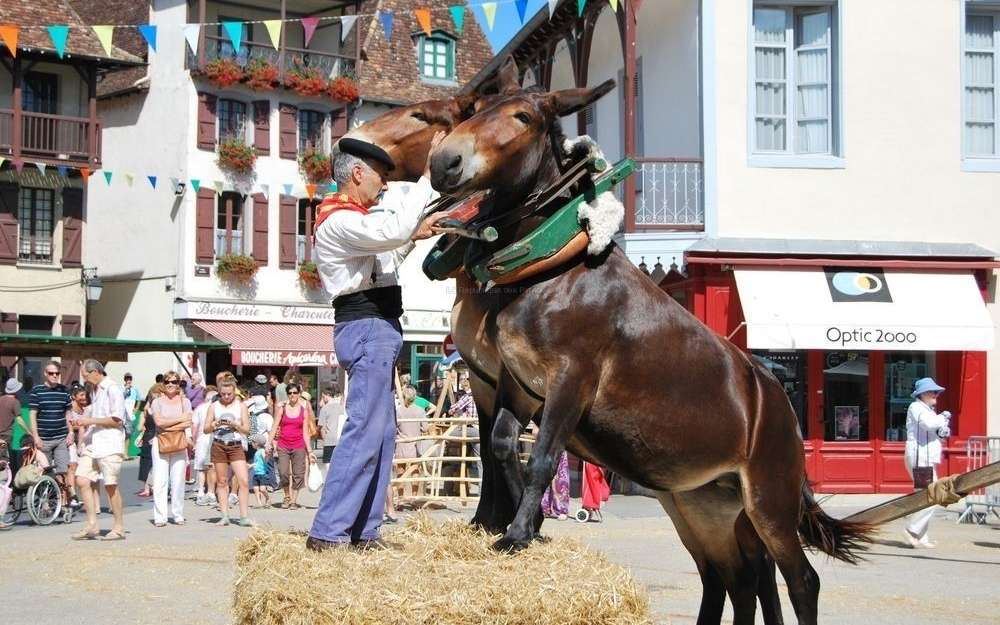 Le métier de Muletier